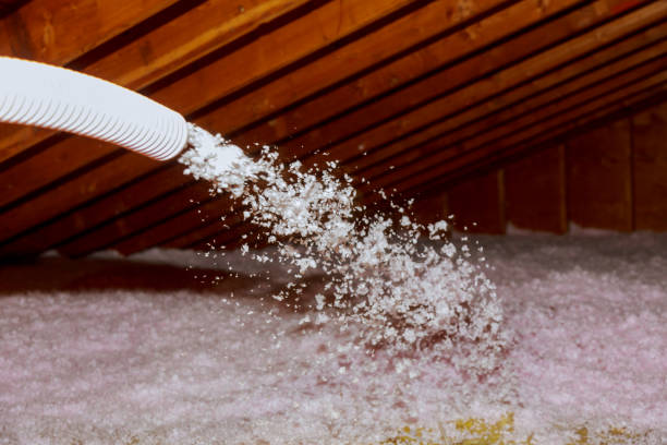 Best Attic Insulation Installation  in Orland Hls, IL